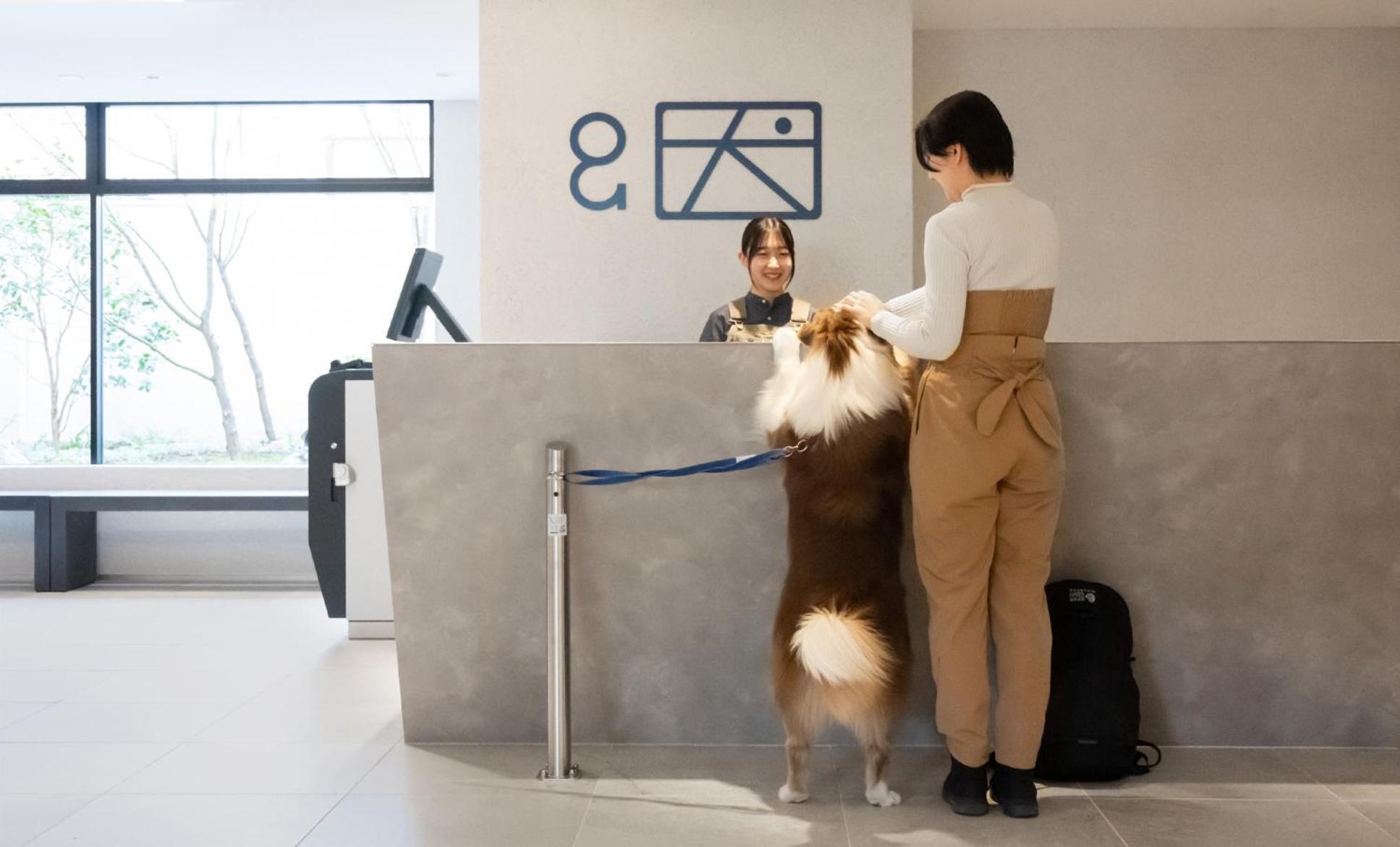 Hotel Anddoggy Kyoto Nijo エクステリア 写真