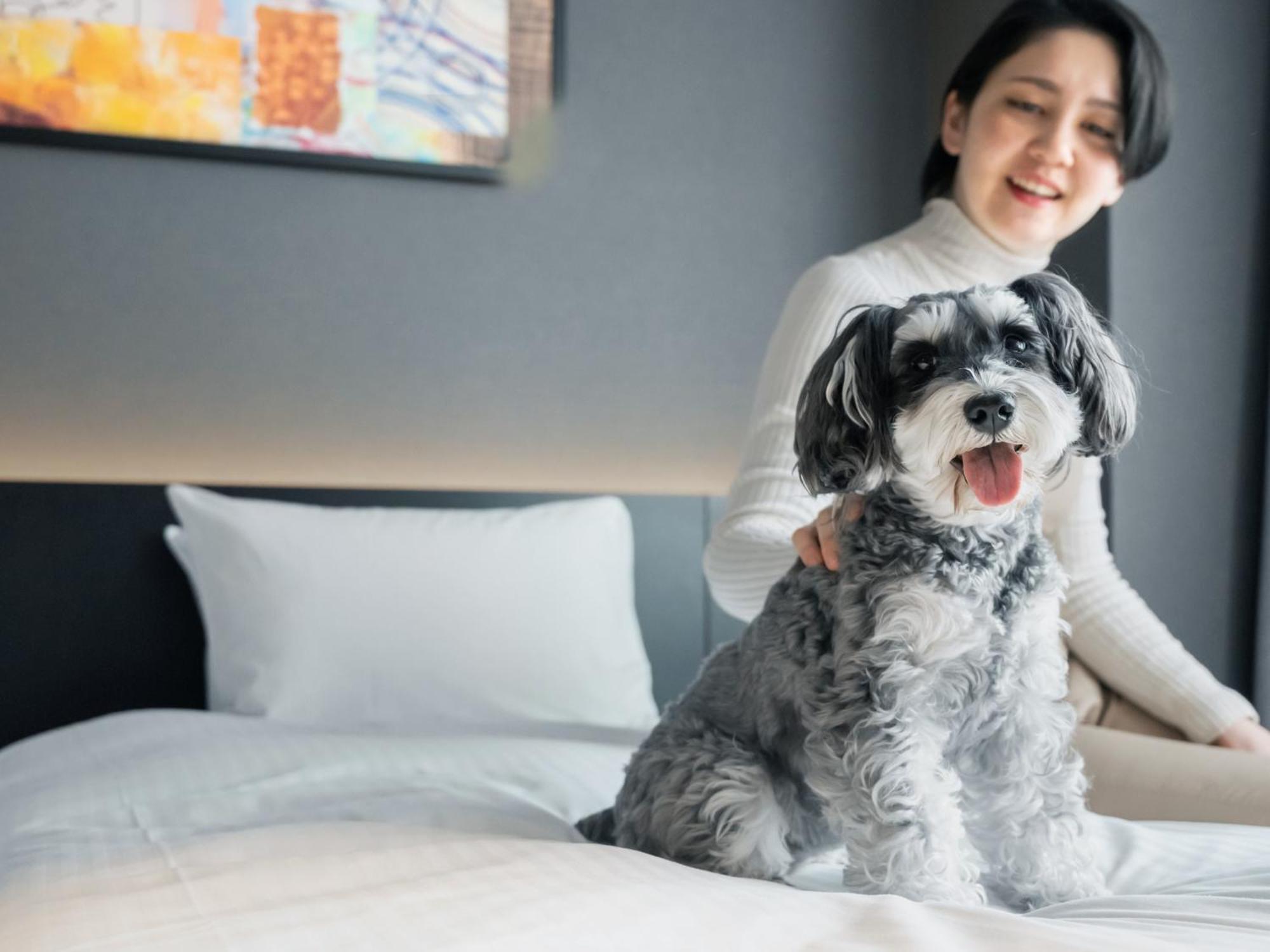 Hotel Anddoggy Kyoto Nijo エクステリア 写真