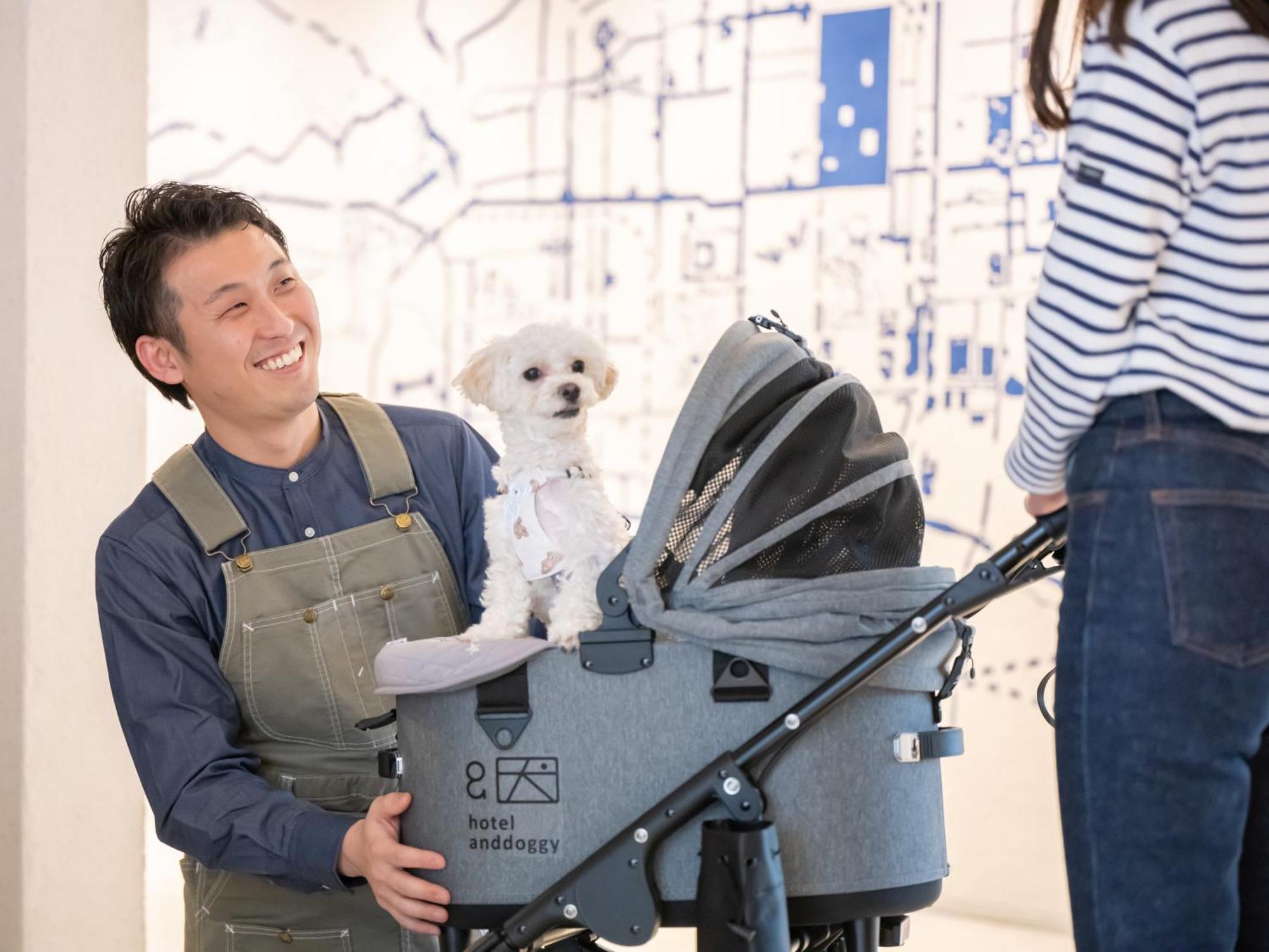 Hotel Anddoggy Kyoto Nijo エクステリア 写真