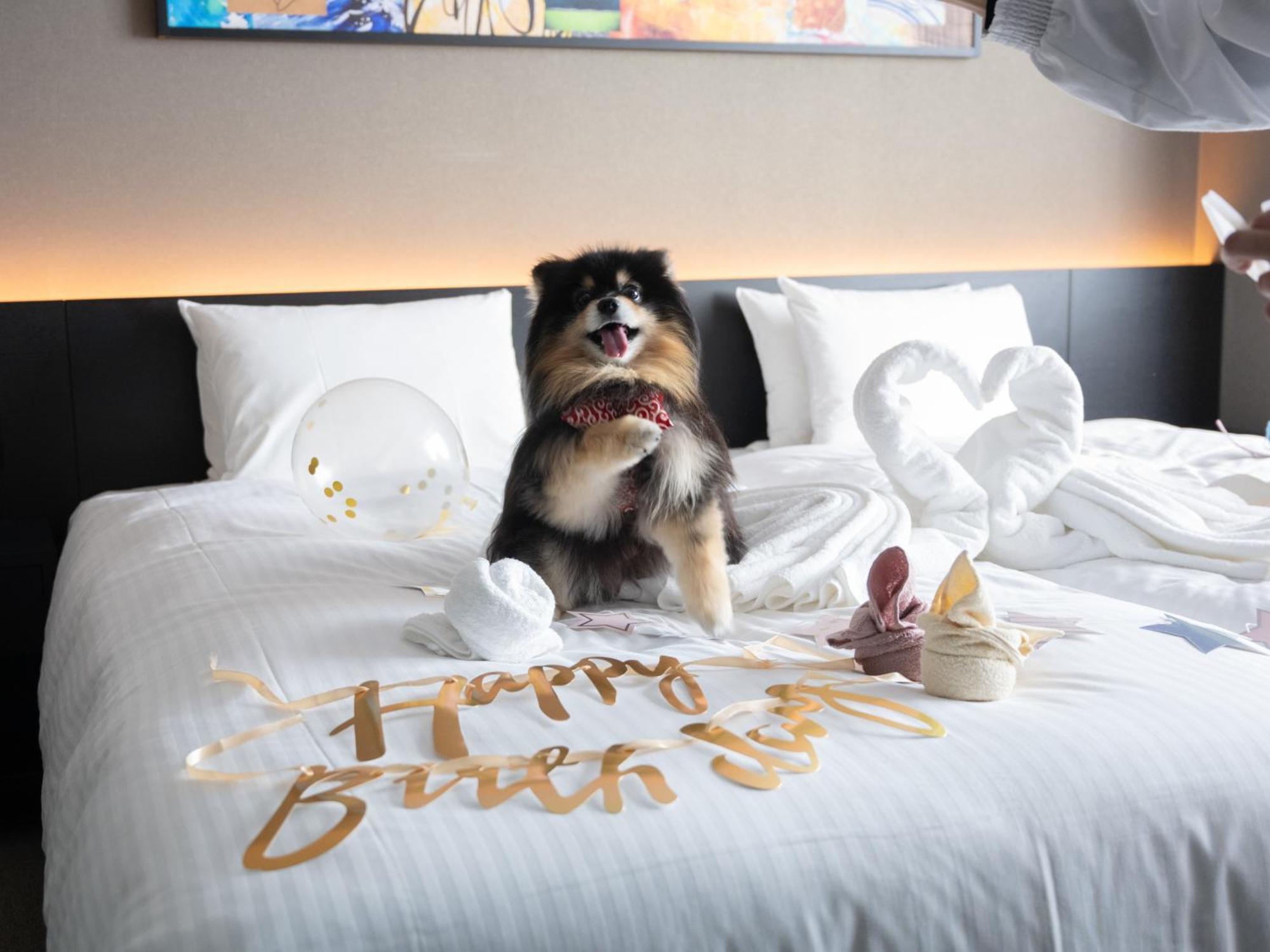 Hotel Anddoggy Kyoto Nijo エクステリア 写真