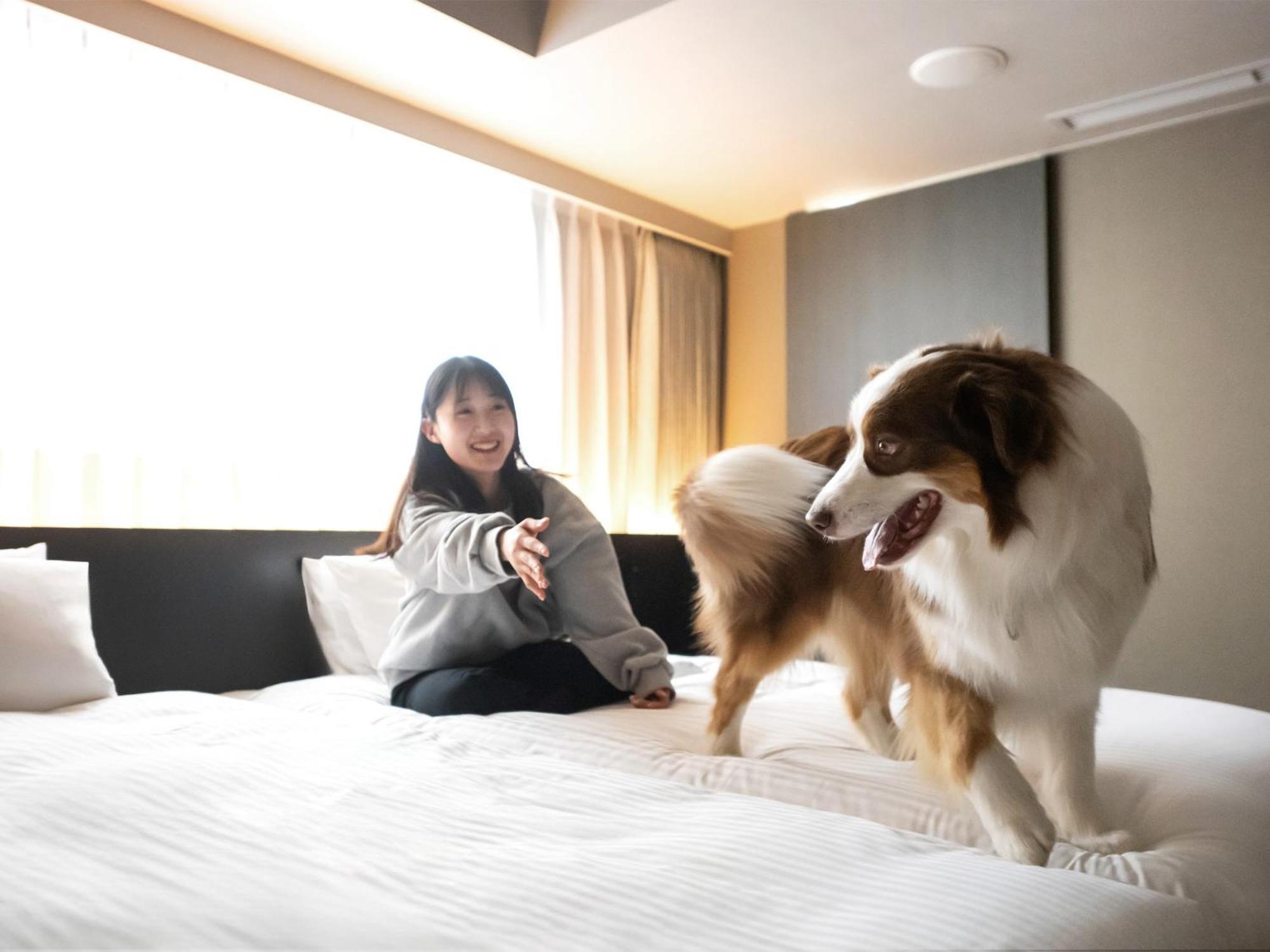 Hotel Anddoggy Kyoto Nijo エクステリア 写真